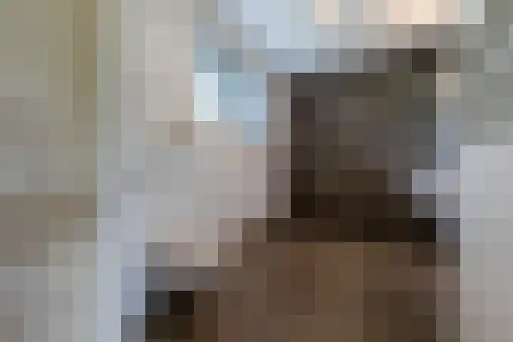 Bongersstraat 239 B Ulft thumbnail 35