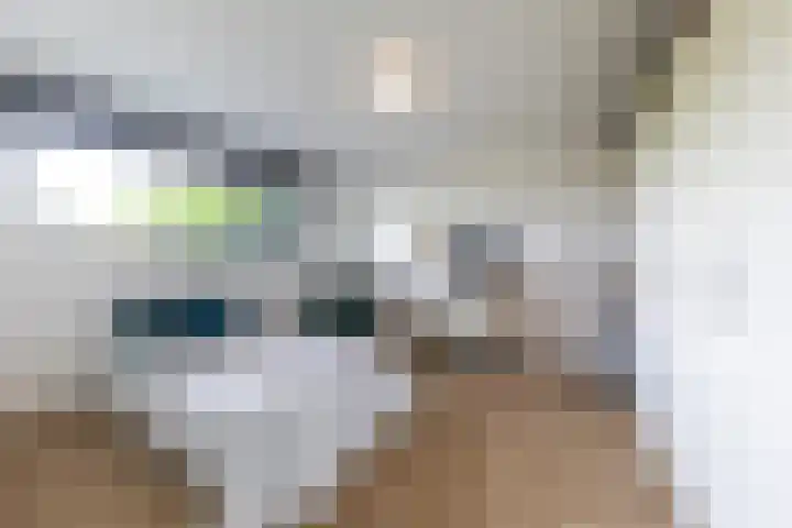 Bongersstraat 239 B Ulft thumbnail 38