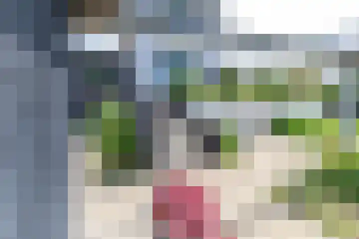 Bongersstraat 239 B Ulft thumbnail 6