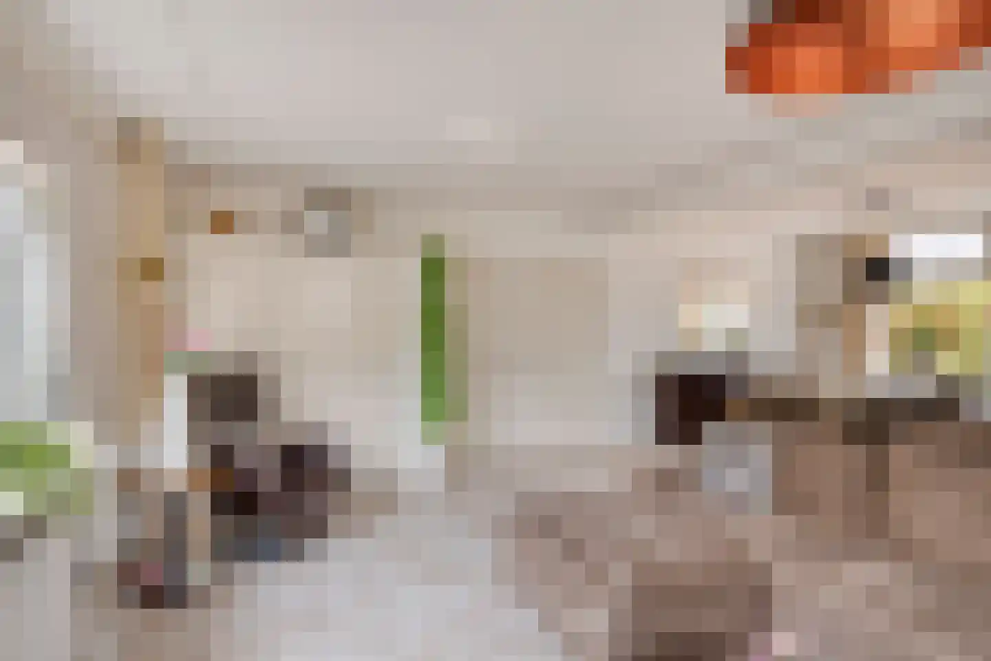 Bongersstraat 28 Ulft thumbnail 14
