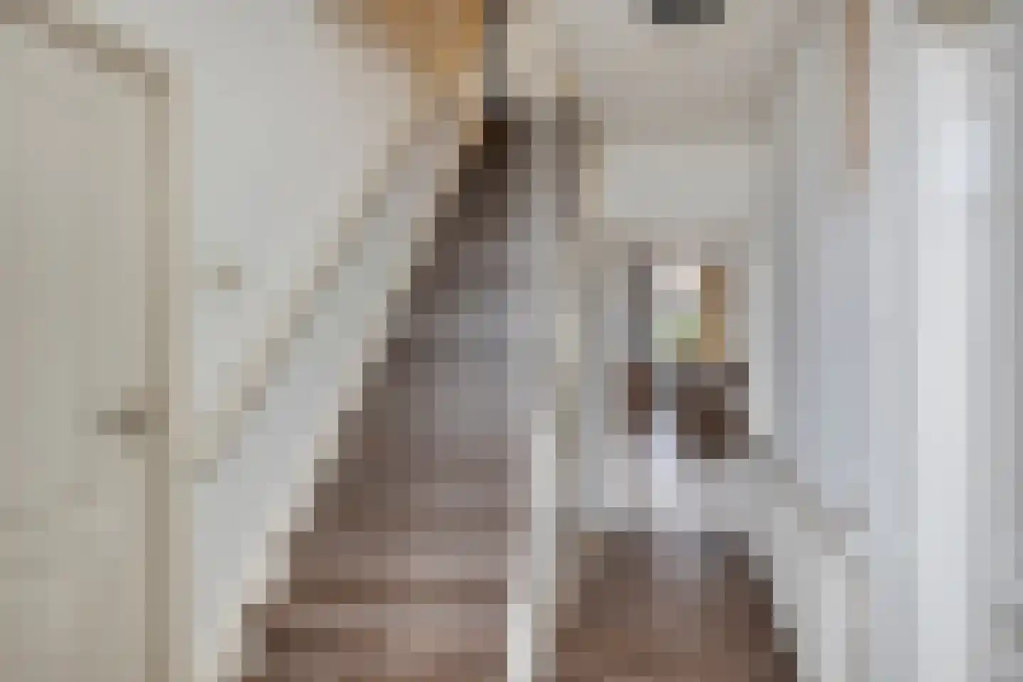 Bongersstraat 28 Ulft thumbnail 9