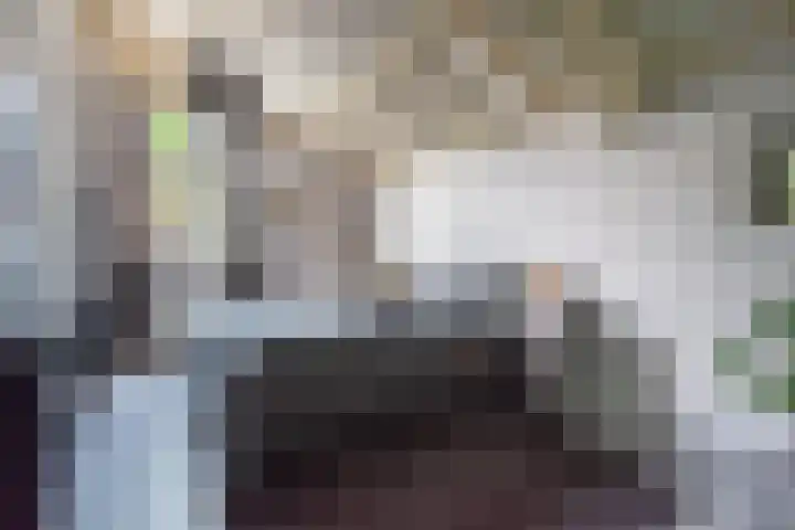 Bongersstraat 54 A Ulft thumbnail 12