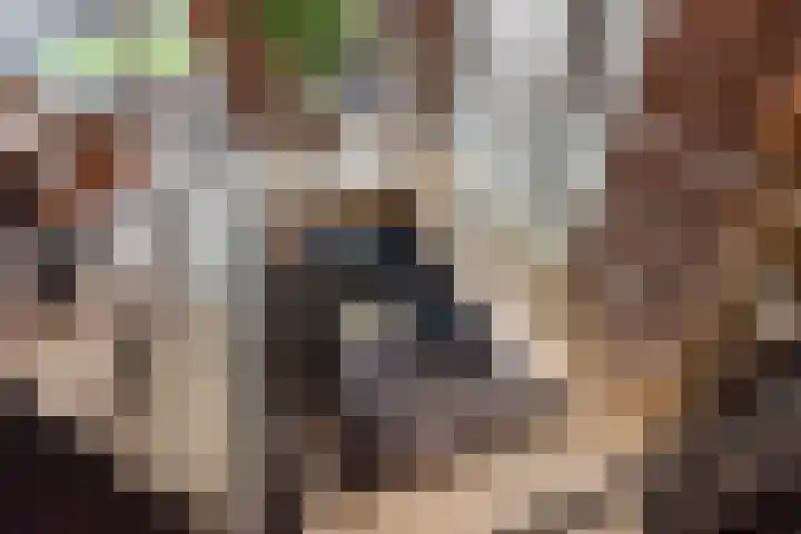 Bongersstraat 54 A Ulft thumbnail 28