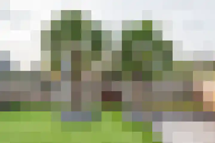 Bongersstraat 54 A Ulft thumbnail 42