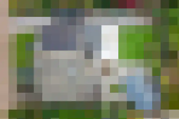 Bongersstraat 54 A Ulft thumbnail 43