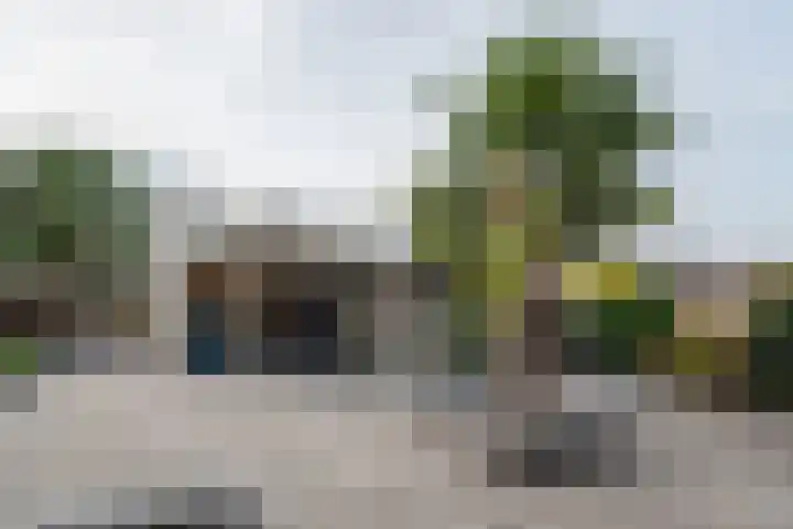 Bongersstraat 54 A Ulft thumbnail 48