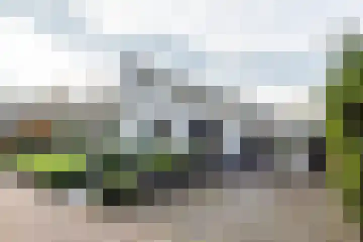 Bongersstraat 54 A Ulft thumbnail 5