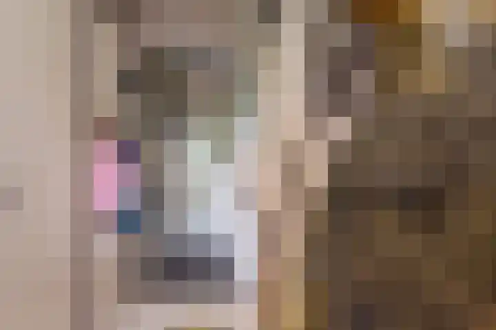 Bongersstraat 54 A Ulft thumbnail 9