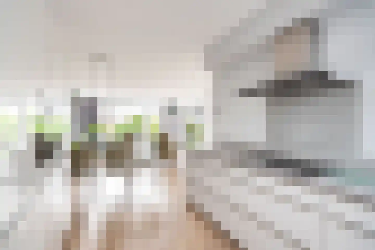 Bongersstraat 95 Ulft thumbnail 16