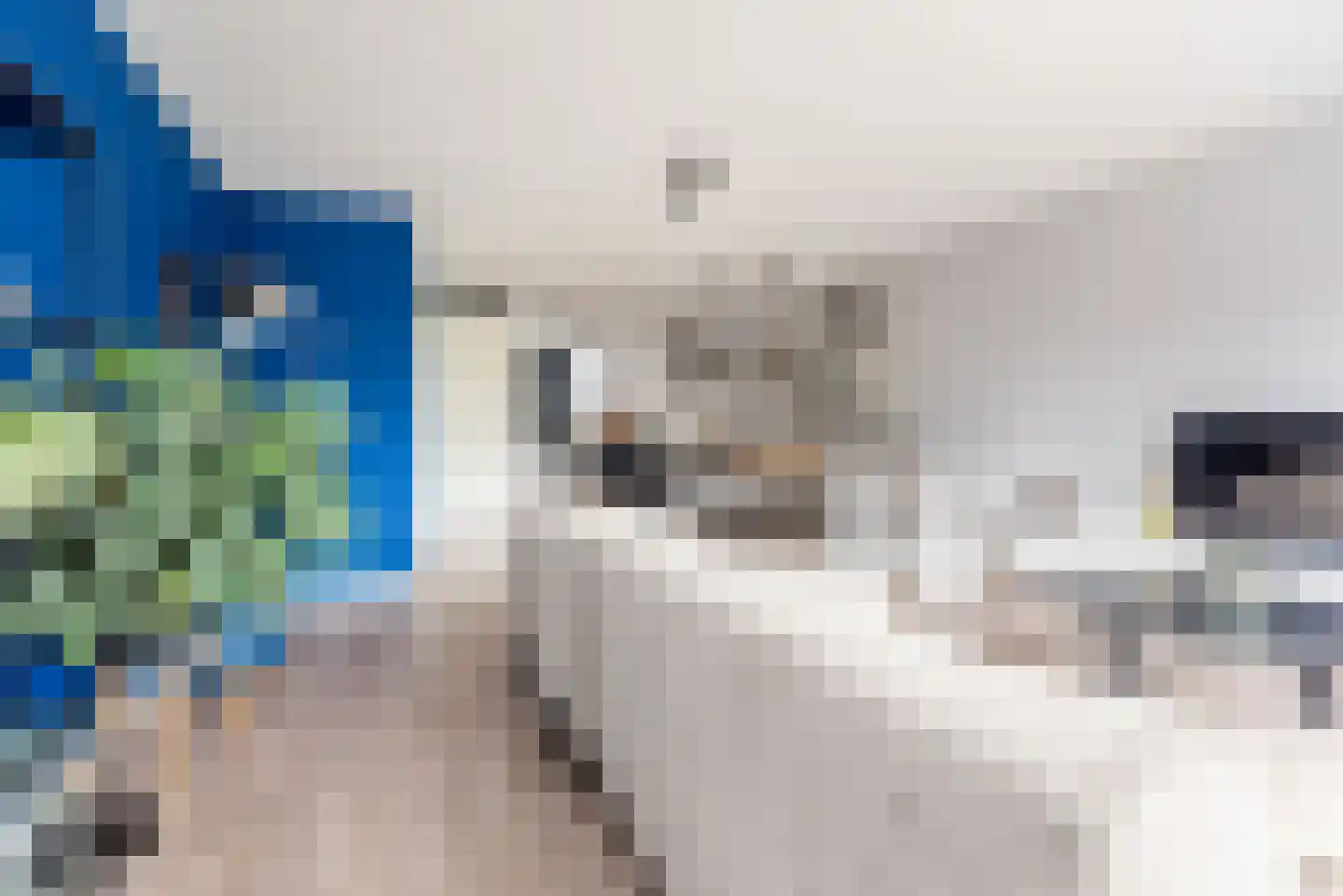 Bongersstraat 99 Ulft thumbnail 11
