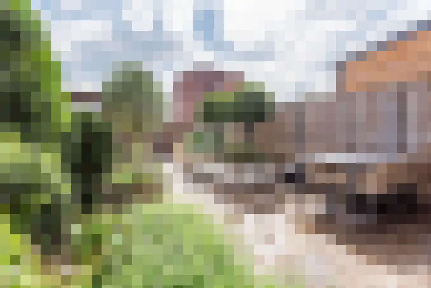 Bongersstraat 99 Ulft thumbnail 29