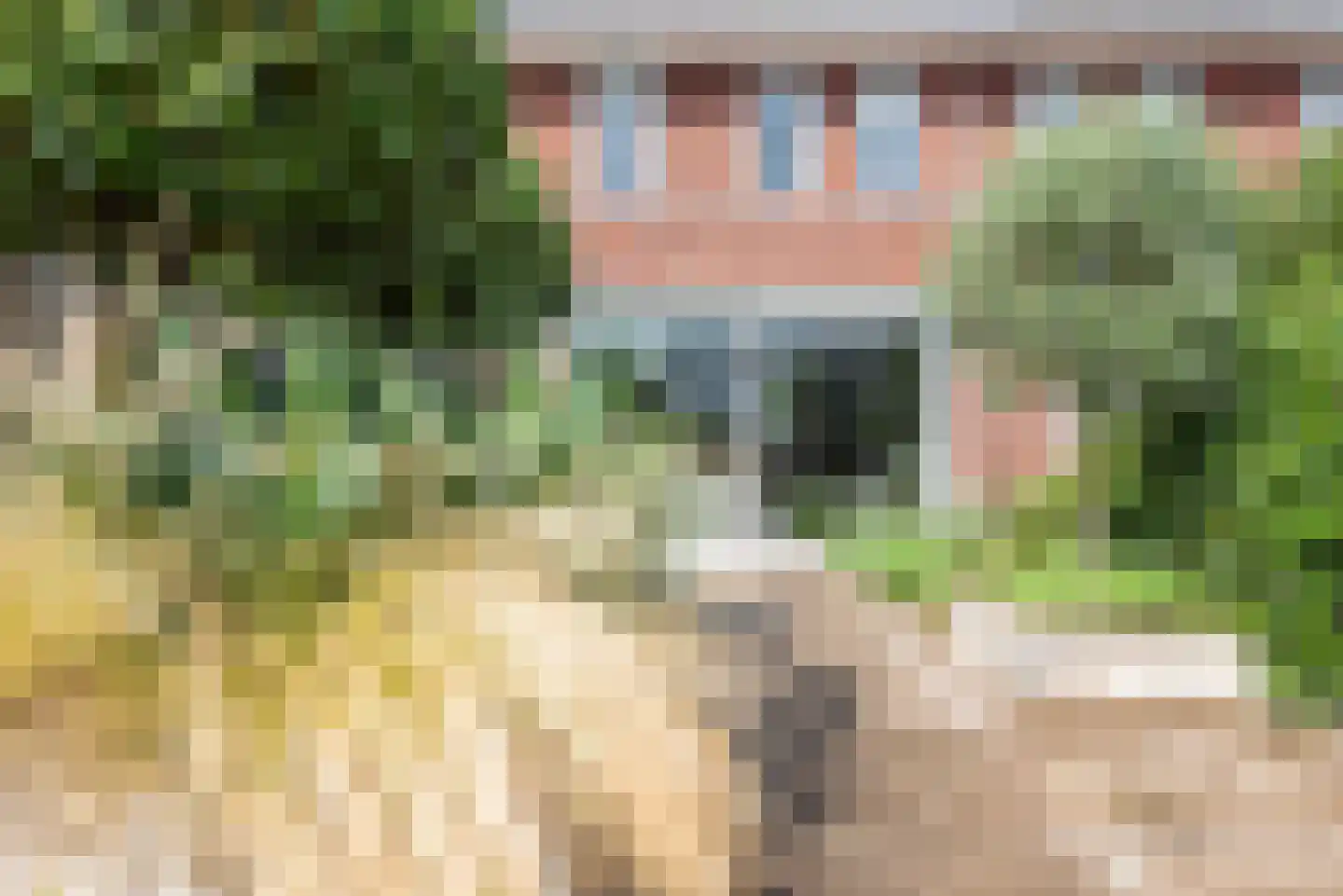 Bongersstraat 99 Ulft thumbnail 30