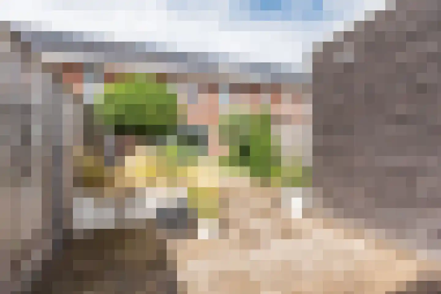 Bongersstraat 99 Ulft thumbnail 34