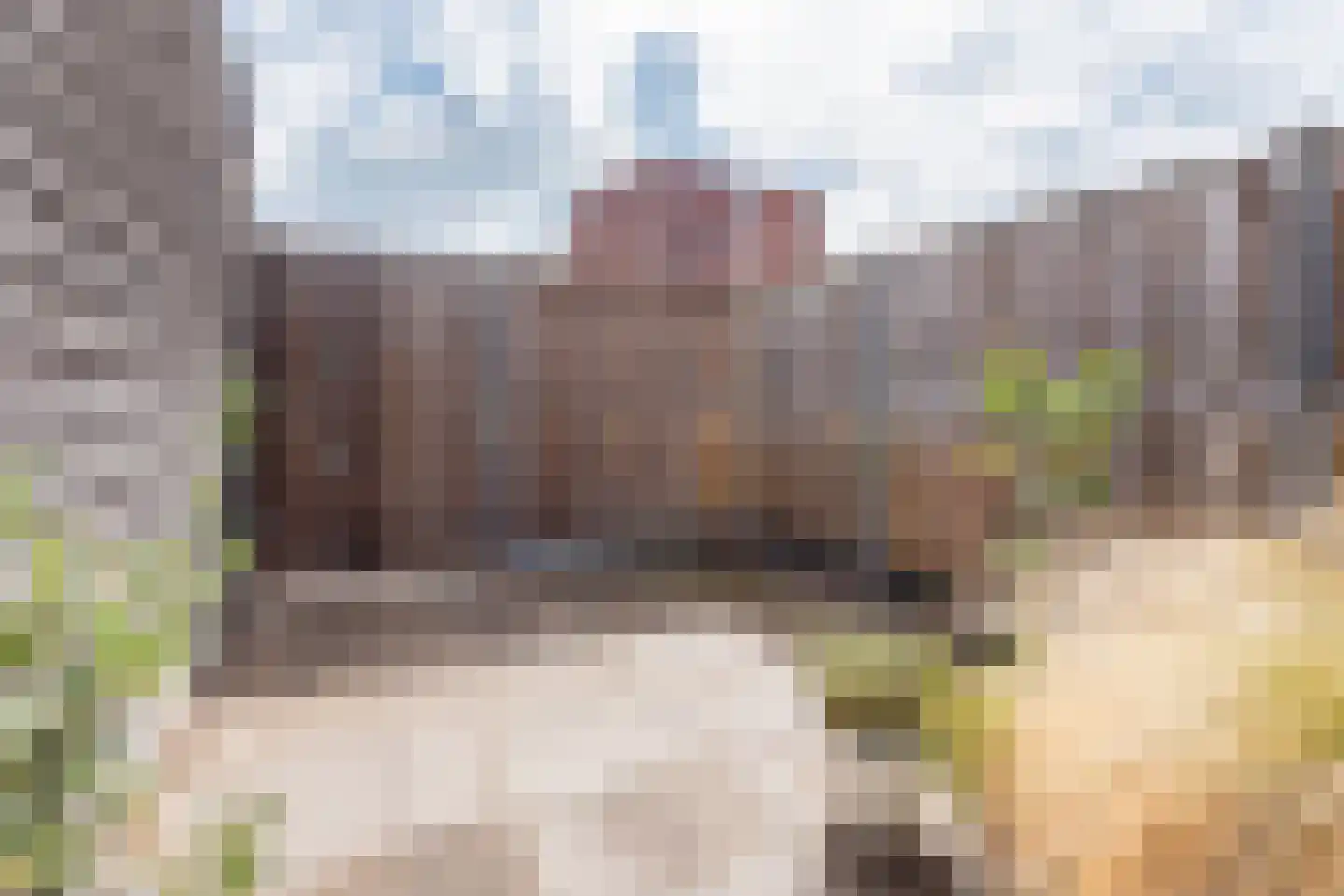 Bongersstraat 99 Ulft thumbnail 35