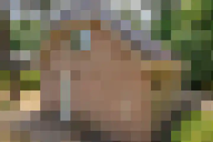 Bongersweg 29 Oldebroek thumbnail 10
