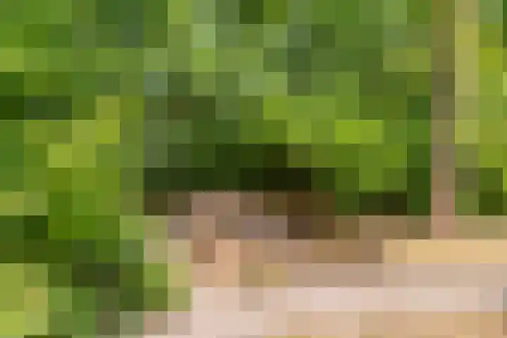 Bongersweg 29 Oldebroek thumbnail 34