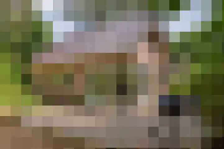 Bongersweg 29 Oldebroek thumbnail 4