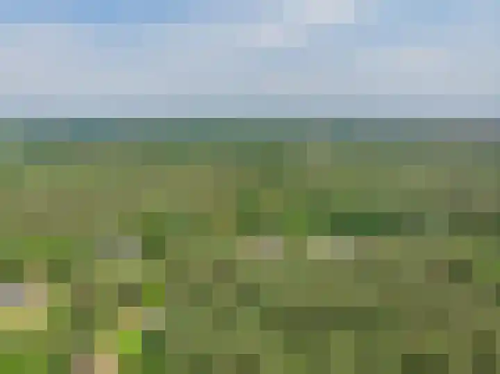 Bongersweg 29 Oldebroek thumbnail 41