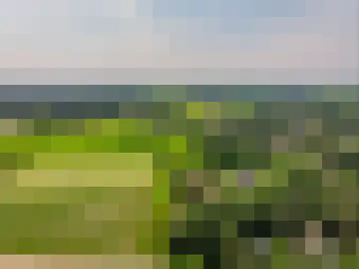 Bongersweg 29 Oldebroek thumbnail 42