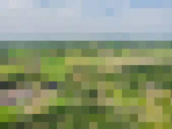 Bongersweg 29 Oldebroek thumbnail 43