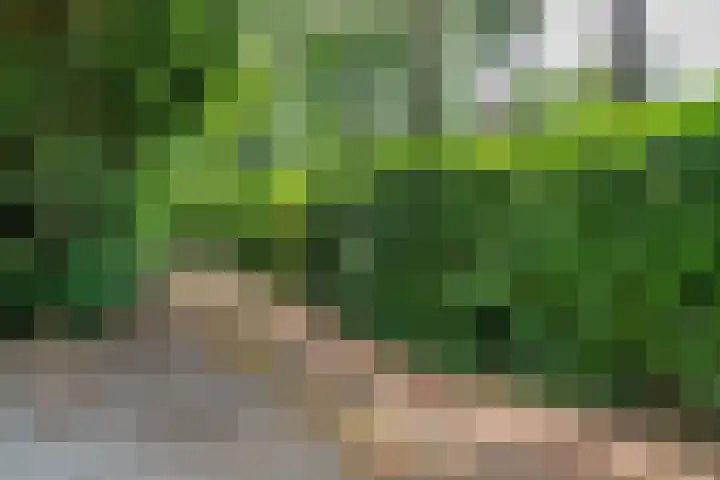 Bongersweg 29 Oldebroek thumbnail 5