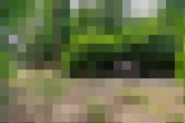 Bongersweg 29 Oldebroek thumbnail 6