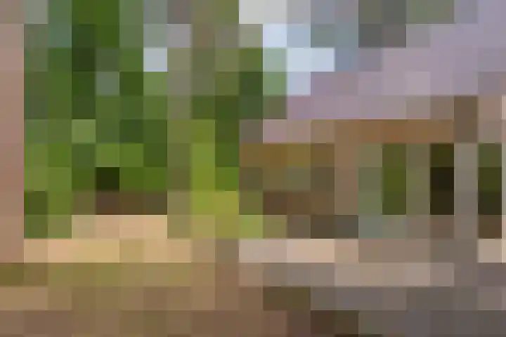 Bongersweg 29 Oldebroek thumbnail 8