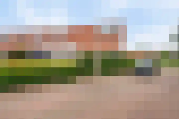 Bongeveen 52 Ede thumbnail 46