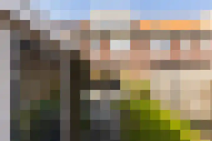 Bongeveen 9 Ede thumbnail 32