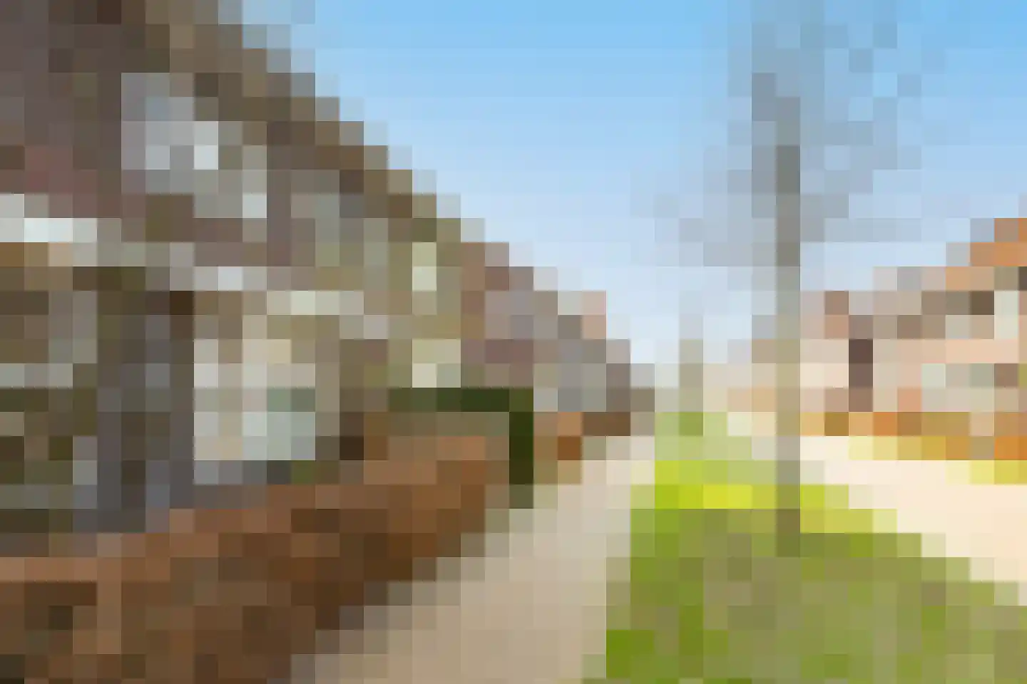 Bongeveen 9 Ede thumbnail 35