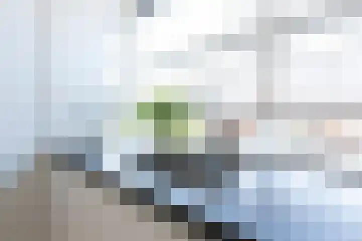 Bongeveen 9 Ede thumbnail 4