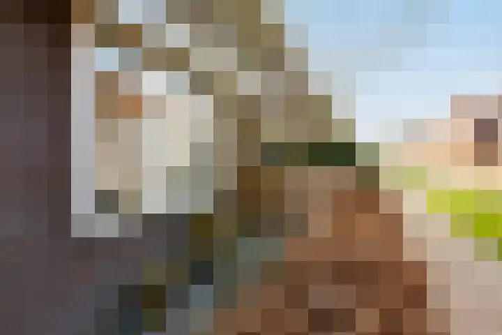 Bongeveen 9 Ede thumbnail 6