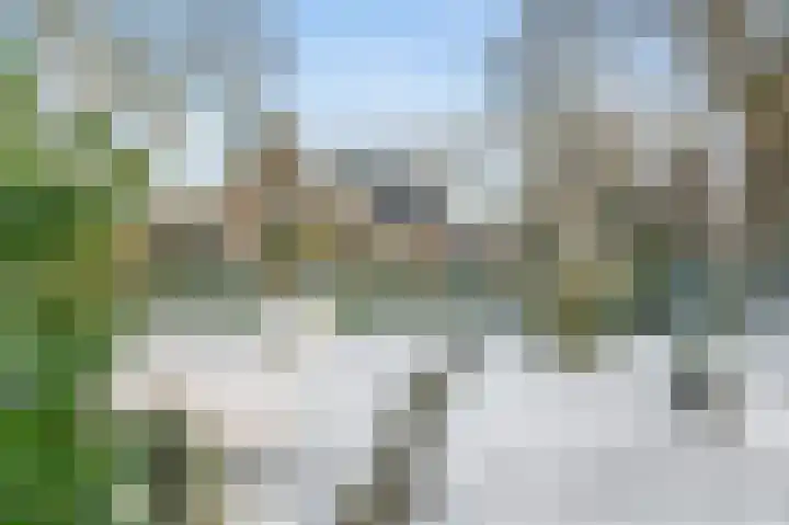 Bonghaer 1 Oosterwolde