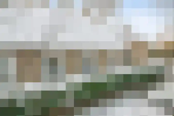 Bonghaer 1 Oosterwolde thumbnail 12