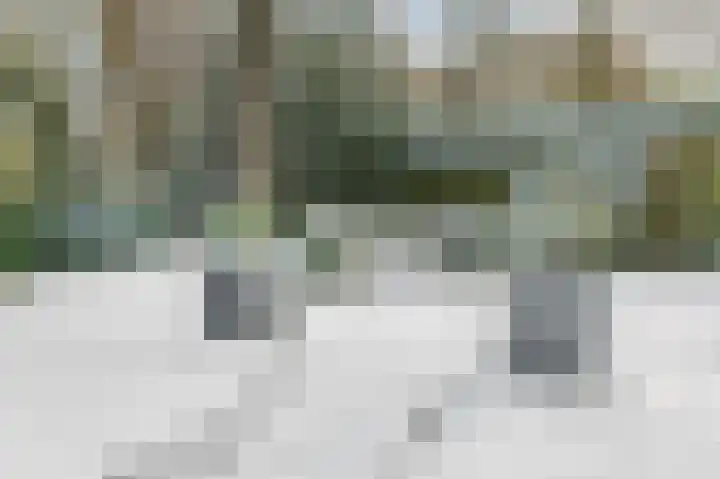 Bonghaer 1 Oosterwolde thumbnail 14