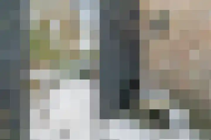 Bonghaer 1 Oosterwolde thumbnail 15