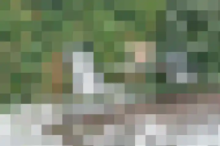 Bonghaer 1 Oosterwolde thumbnail 17