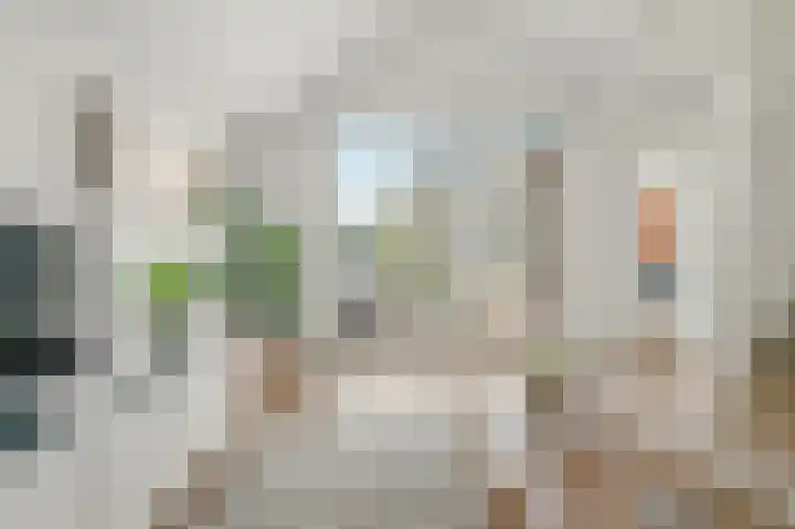 Bonghaer 1 Oosterwolde thumbnail 25
