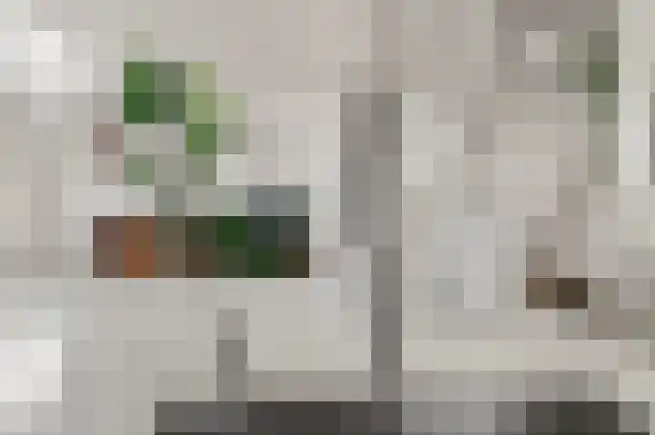 Bonghaer 1 Oosterwolde thumbnail 34