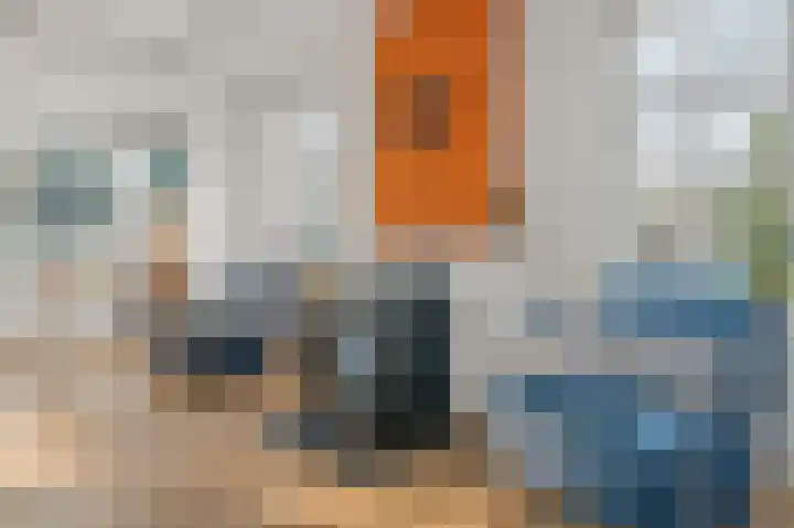 Bonghaer 1 Oosterwolde thumbnail 36