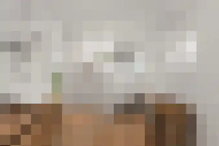Bonghaer 1 Oosterwolde thumbnail 41