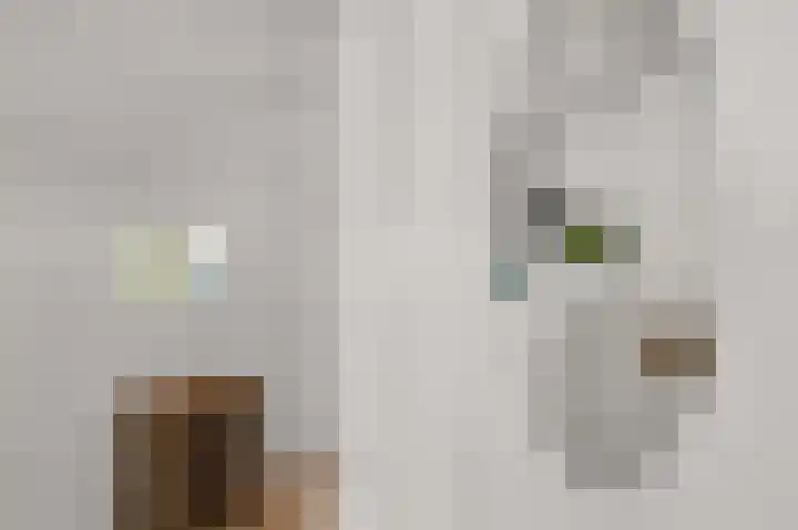 Bonghaer 1 Oosterwolde thumbnail 44