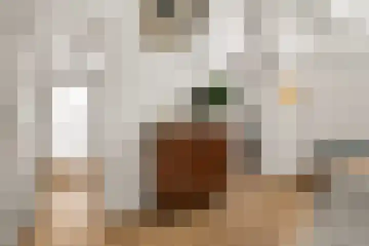 Bonghaer 1 Oosterwolde thumbnail 45