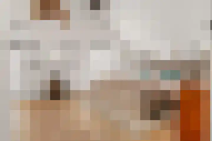Bonghaer 1 Oosterwolde thumbnail 46