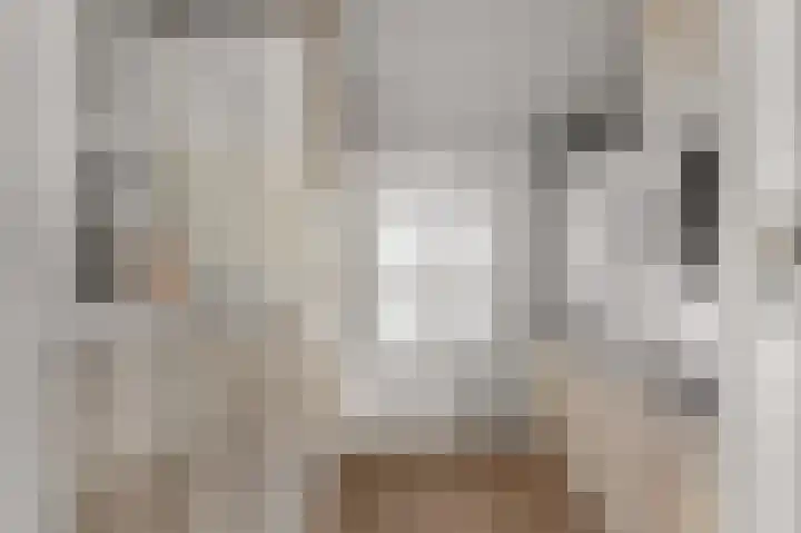 Bonghaer 1 Oosterwolde thumbnail 50