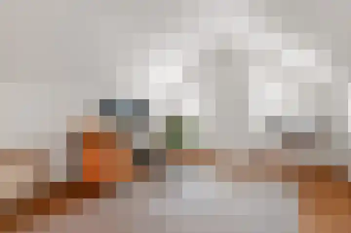 Bonghaer 1 Oosterwolde thumbnail 54