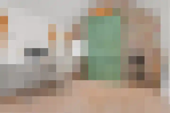 Bonghaer 1 Oosterwolde thumbnail 57