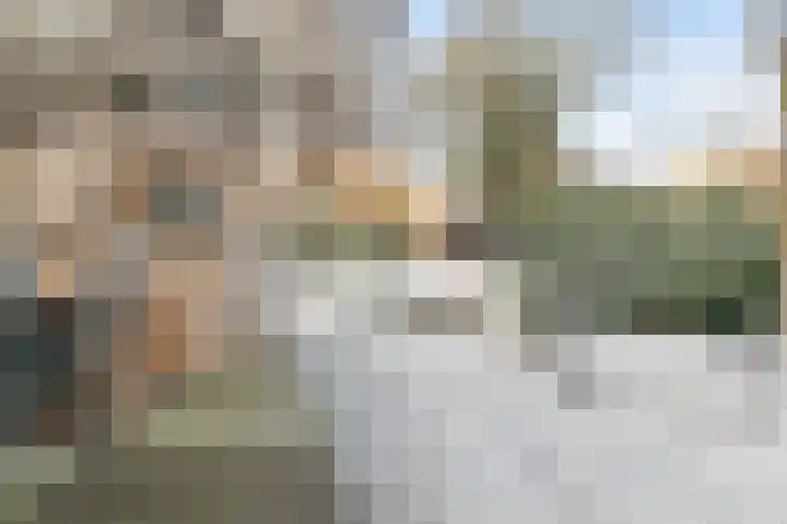 Bonghaer 1 Oosterwolde thumbnail 60