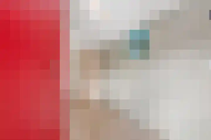 Bonghaer 1 Oosterwolde thumbnail 62