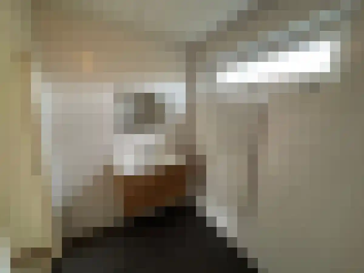 Bongweg 188 Hoogvliet Rotterdam thumbnail 5